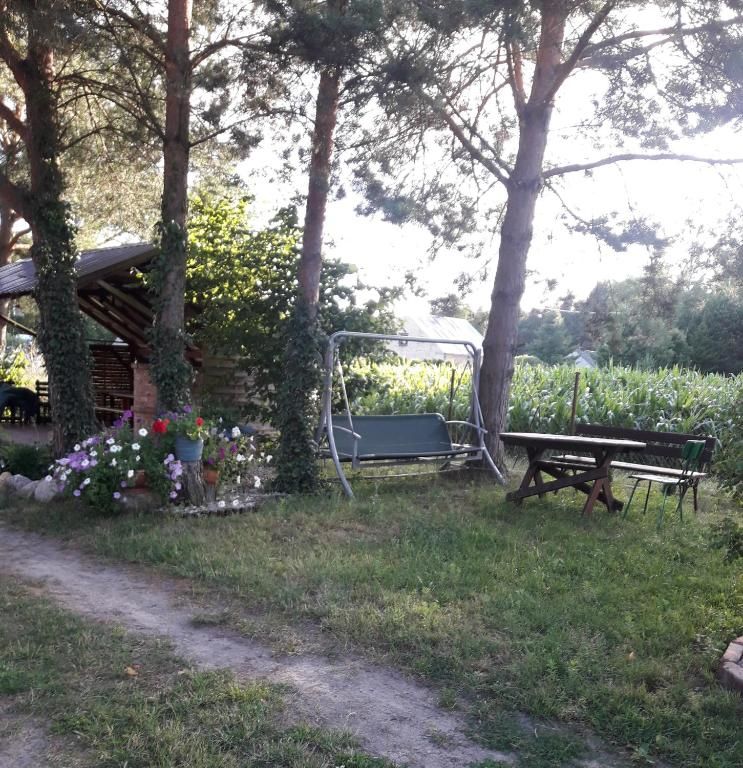 Дома для отпуска Agroturystyka Pod Sosnami Stoczek-76