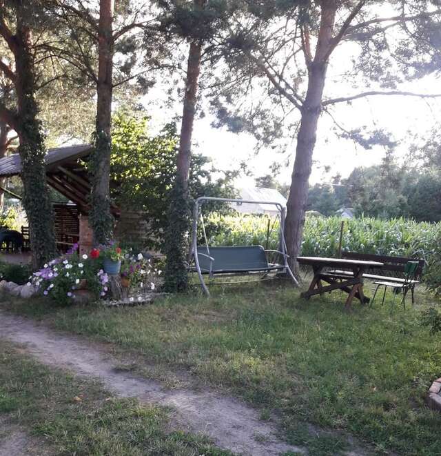 Дома для отпуска Agroturystyka Pod Sosnami Stoczek-17